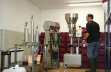 Experimental Vinification at ICV  Group